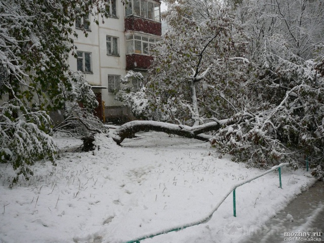 Первый снег.14.10.2007. (10).JPG