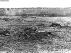 Бой на Бородинском поле. Осень 1941 г.