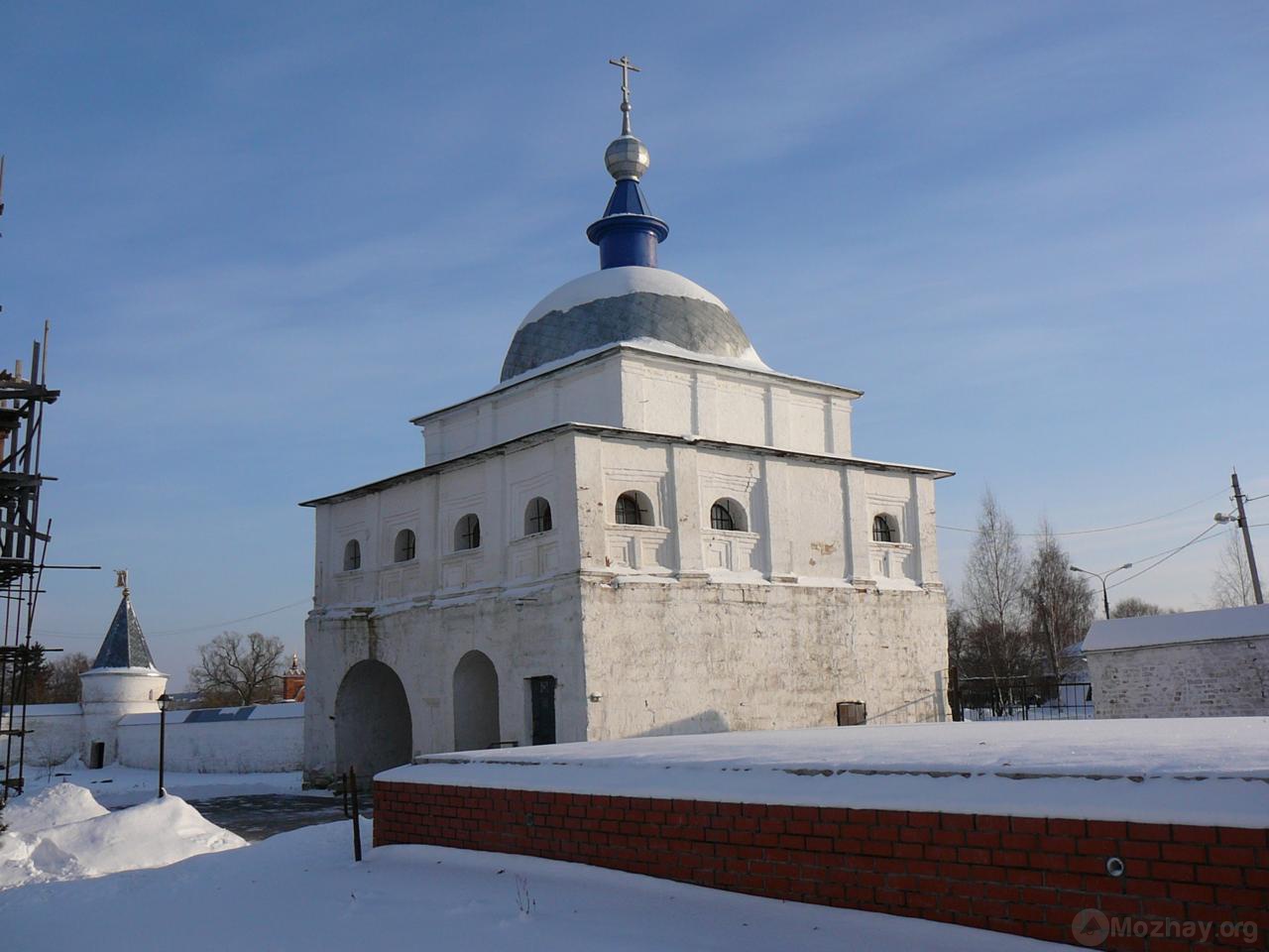Лужецкий монастырь зимой. (6)