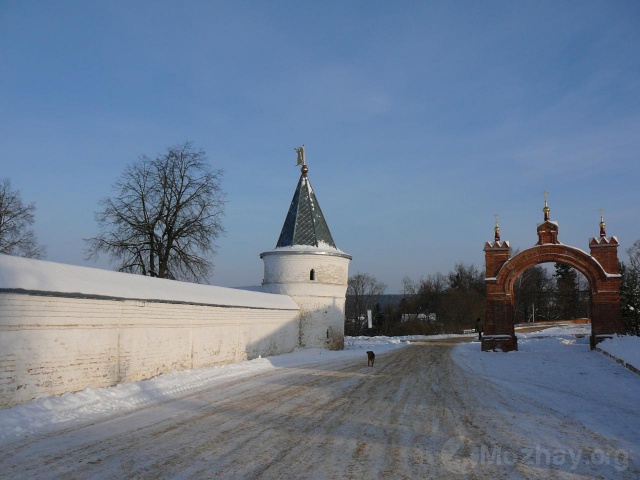 Лужецкий монастырь зимой. (3)