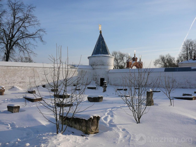 Лужецкий монастырь зимой. (10)