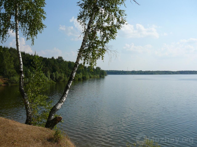 Берёзки. Можайское море.