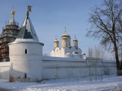 Лужецкий монастырь зимой. (2)