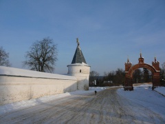 Лужецкий монастырь зимой. (3)