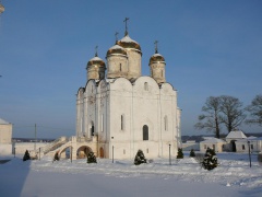 Лужецкий монастырь зимой. (7)