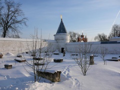 Лужецкий монастырь зимой. (10)