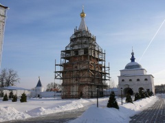 Лужецкий монастырь зимой. (8)