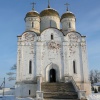 Лужецкий монастырь зимой. (9)