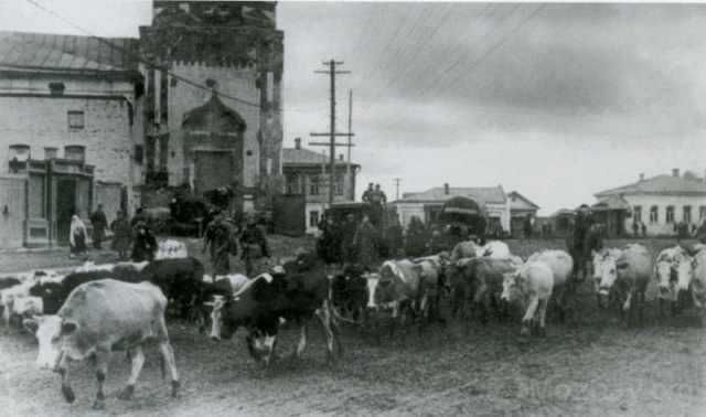 Эавкуация скота из Можайска. Осень 1941 г.