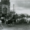 Эавкуация скота из Можайска. Осень 1941 г.