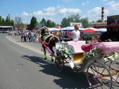 780 лет Можайска 22.05.2011г. (25)