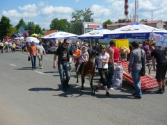 780 лет Можайска 22.05.2011г. (26)