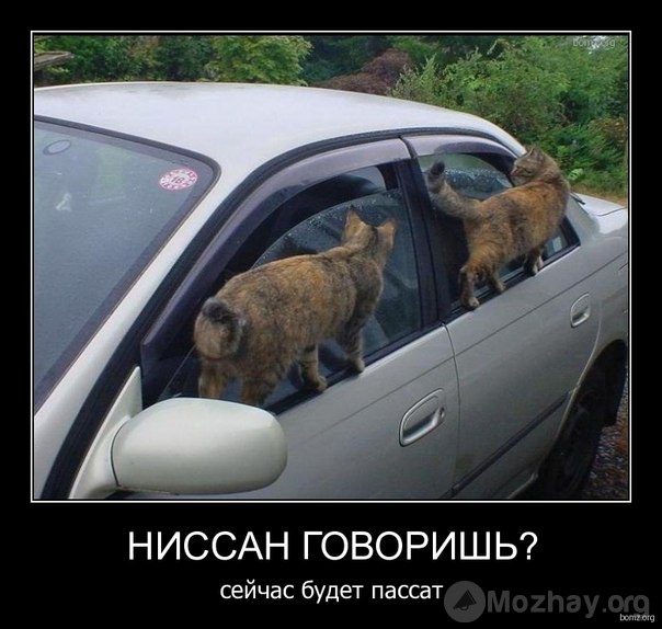 TaAGK8kD0jk.jpg